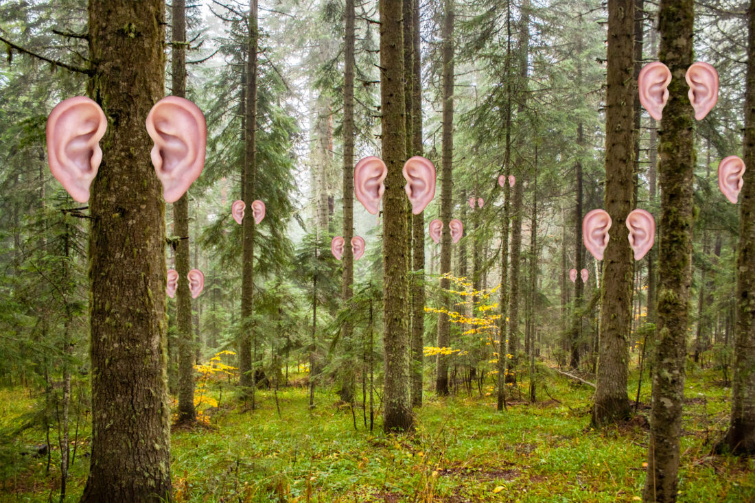 L'Ecoute est à la fois un savoir-être et un savoir-faire